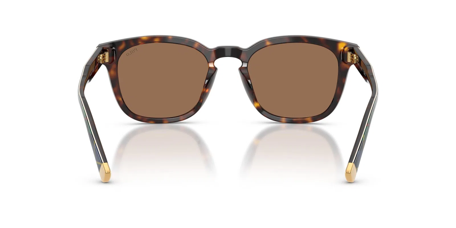 Polo 4242F Sunglasses - view 13